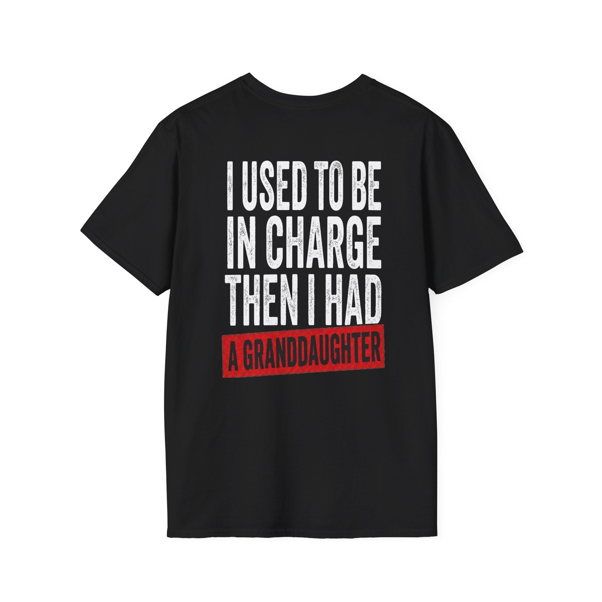 Used to be in charge shirt (Back Print)