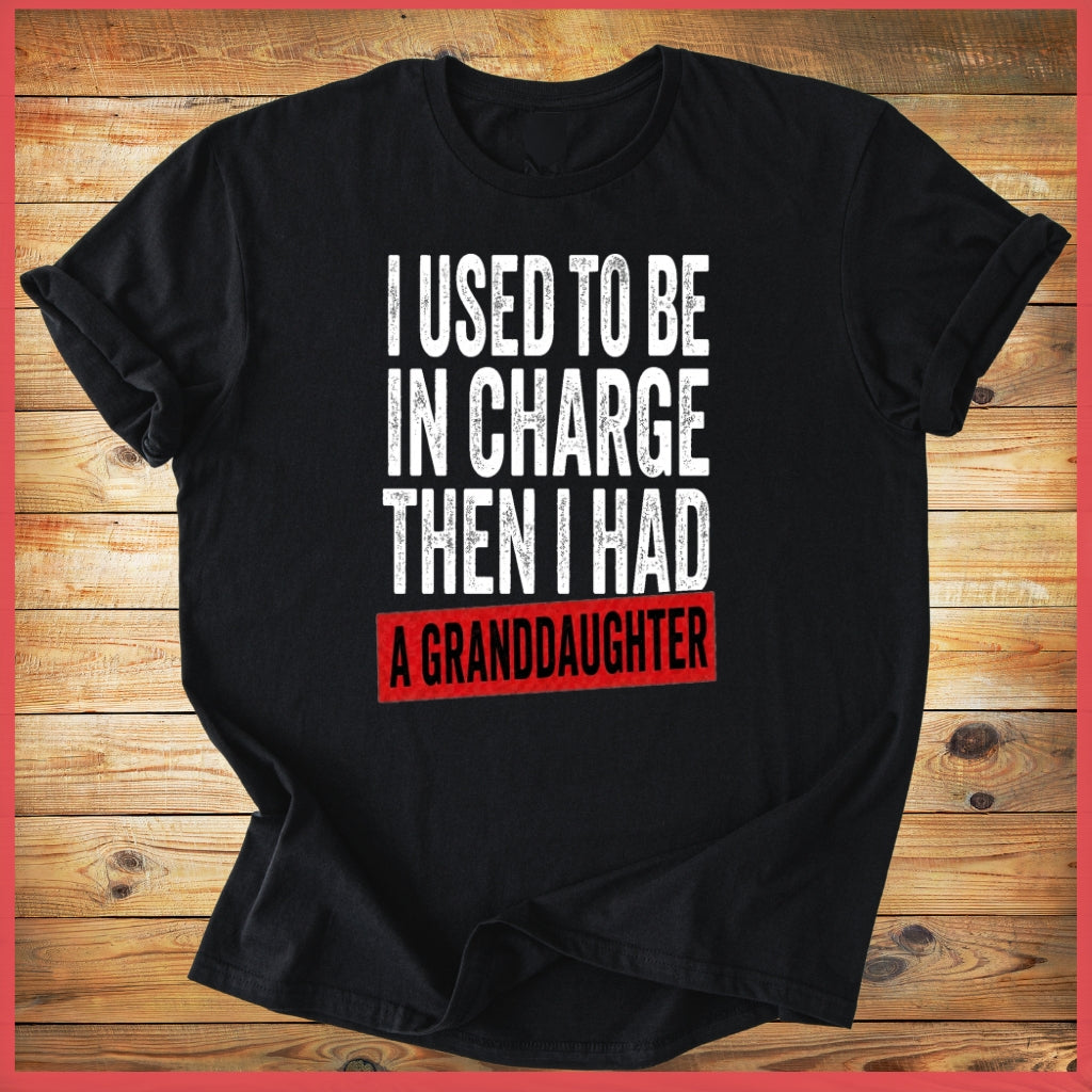 Used to be in charge shirt (Back Print)
